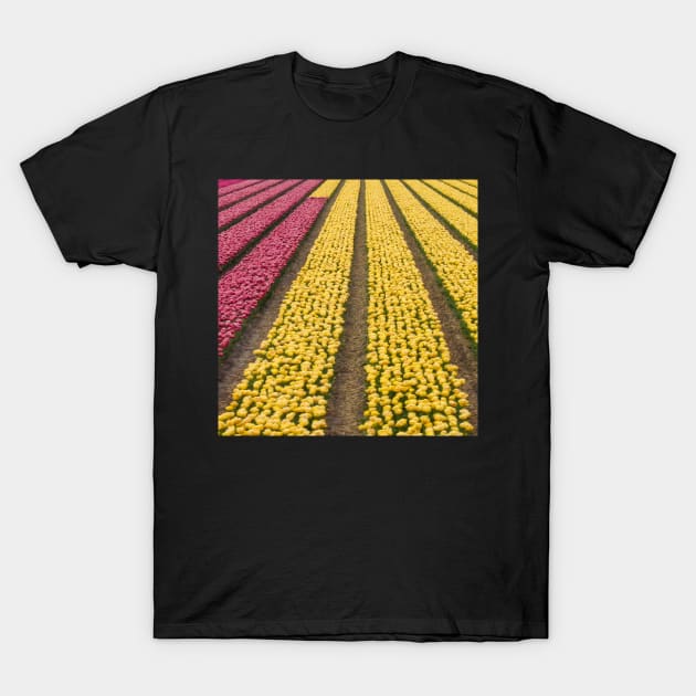 Fields of Tulips T-Shirt by Upbeat Traveler